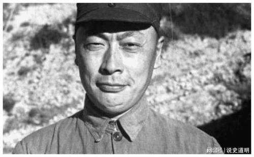 中野华野各指什么