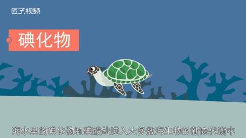 碘水的性质