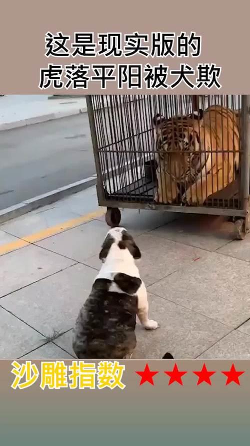虎落平阳被犬欺的整首诗是什么