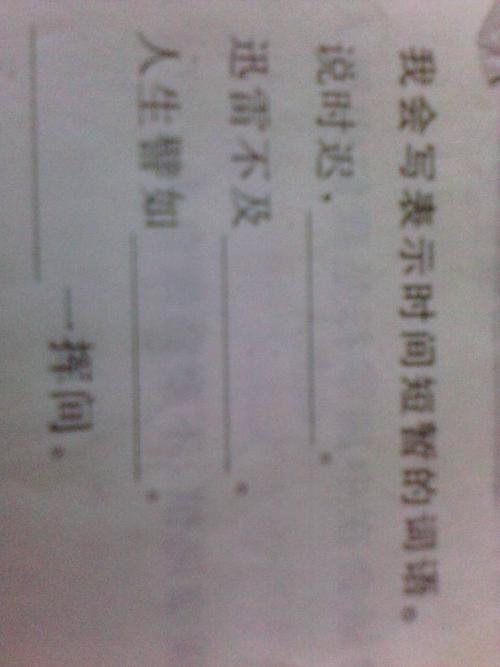 形容速度快有什么词