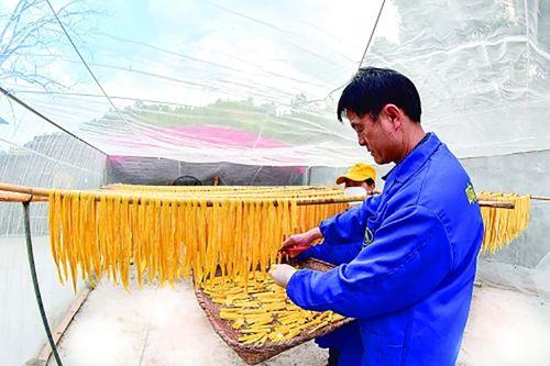 腐竹的生产工艺流程