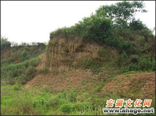 舒王墩汉墓是谁最早发现的