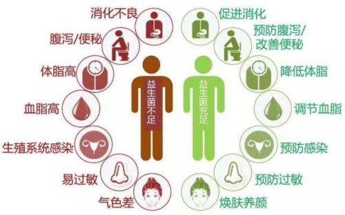 健康才是王道的句子