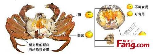 螃蟹里面哪些可以吃