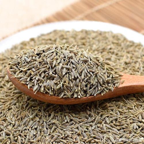 孜然和茴香的区别是什么