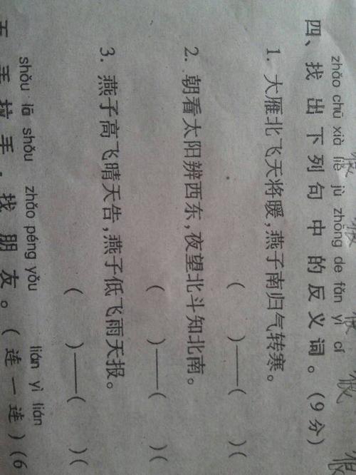 红的反义词是