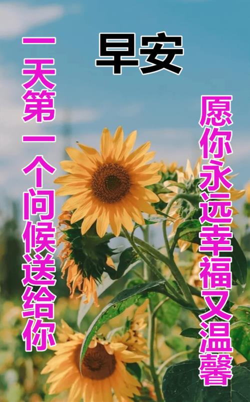 新年快乐的早安问候