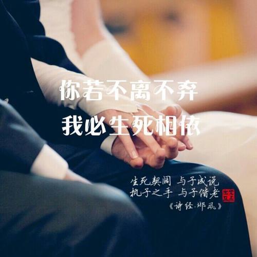 余生请多关照小说结局