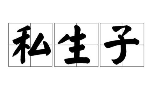 私生是啥子意思