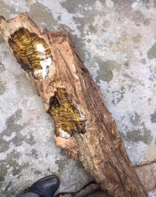 最贵的木头多少钱一克