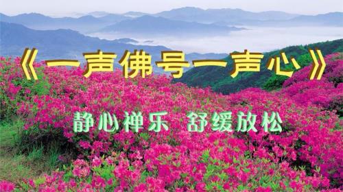 一声佛号一声心的意思