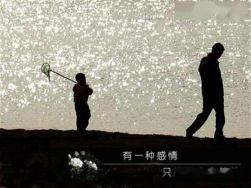 刻骨铭心的爱林小溪杀唐进