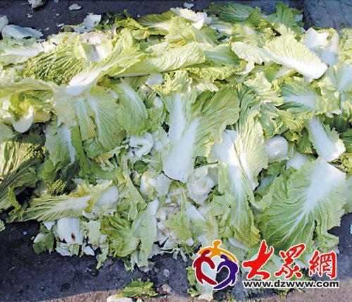 菜叶发黄是什么原因