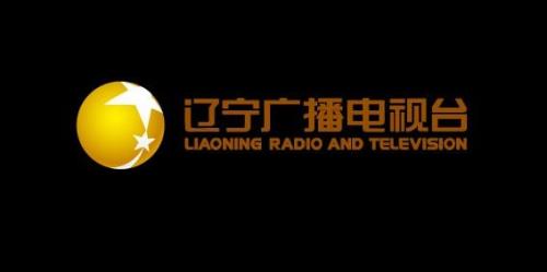 辽宁卫视频道是多少