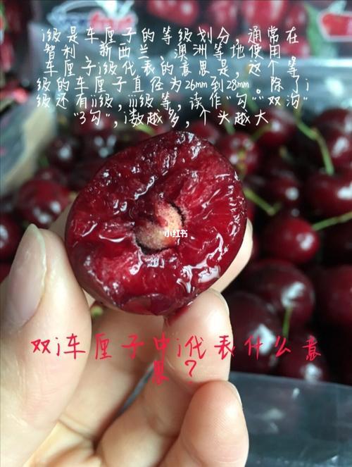 车厘子xl和J代表什么意思