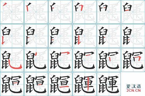 鼠笔顺怎么写
