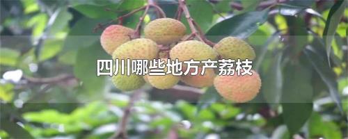 荔枝产季几月份