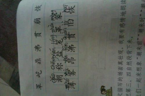 叩怎样组词