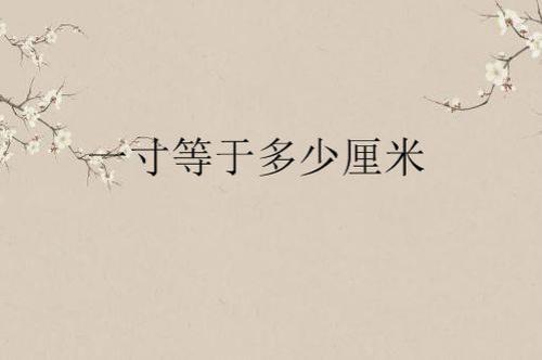 一丈等于多少尺