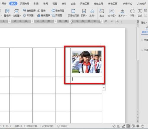 word为什么插入的图片只有一条