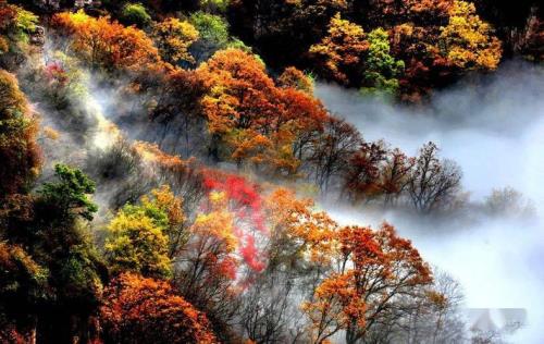 层林尽染正秋高什么意思