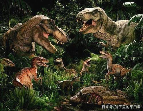 恐龙的寿命