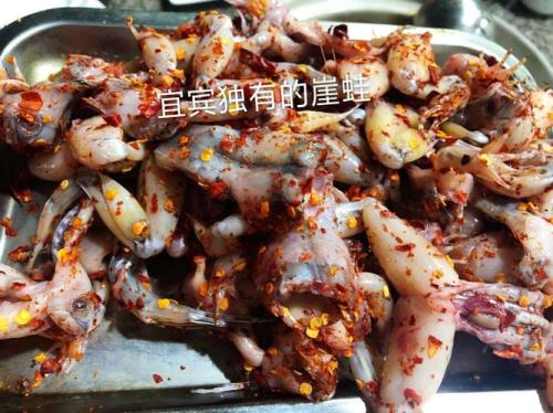 岩蛙能吃吗