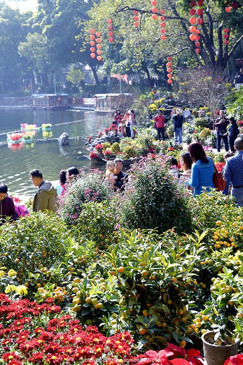 广州荔湾水上花市值得去吗