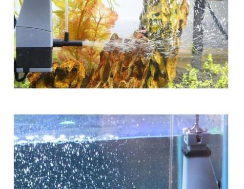 鱼缸油膜原因和解决方法