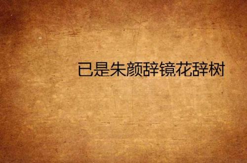 留不住朱颜辞镜花辞树什么意思