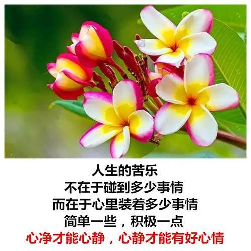 生活总有太多苦原唱