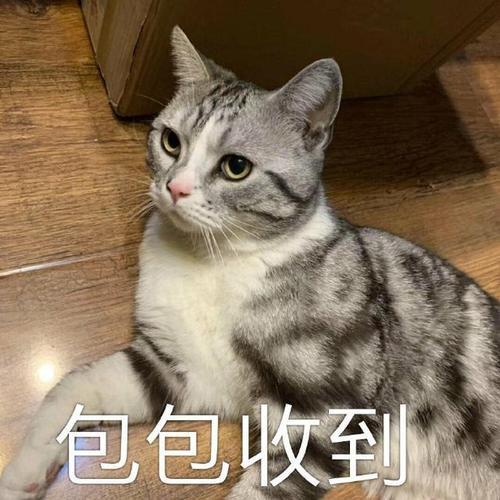 表情到位怎么回复