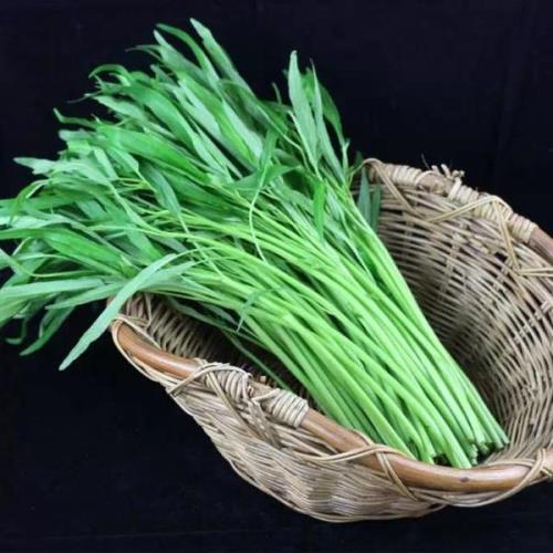 ONG菜是什么