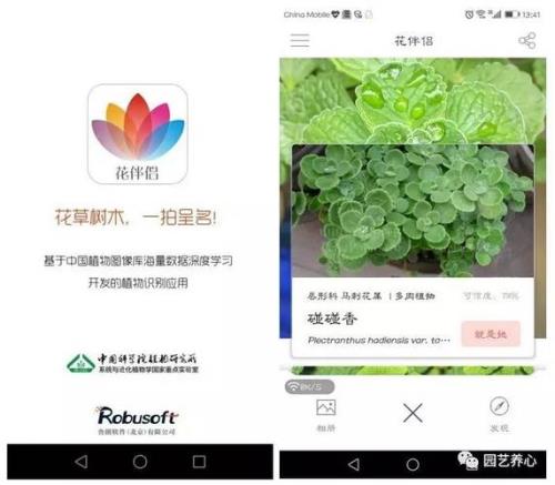 识别植物的app