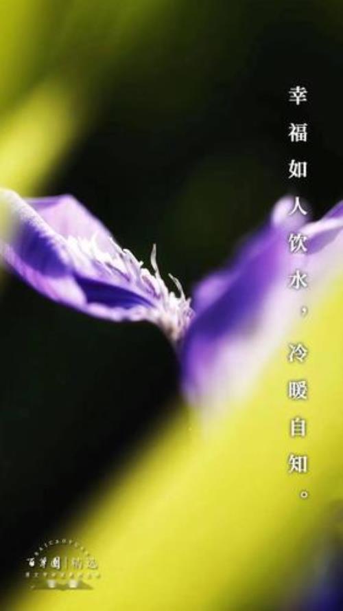 幸福且自知什么意思