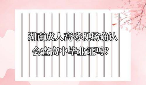 怎样查毕业证编号