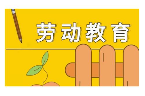 劳动教育概念