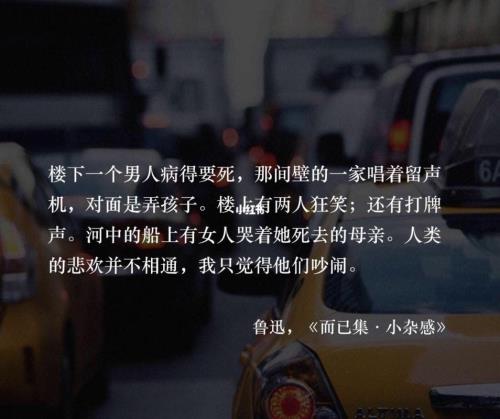 人类的悲欢并不相通的搞笑回复