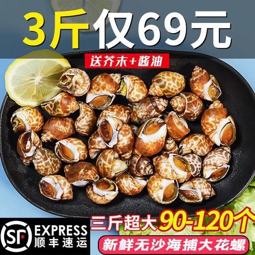 鲜活花螺怎么保存