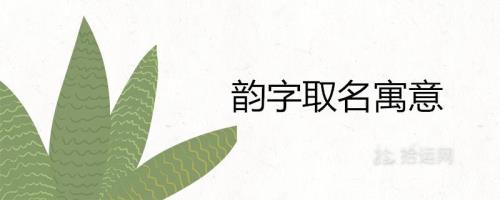 韵字的含义是什么