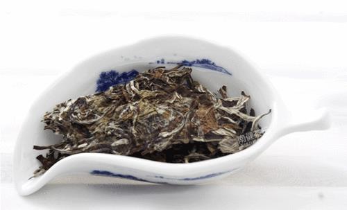 福鼎白茶茶饼如何冲泡