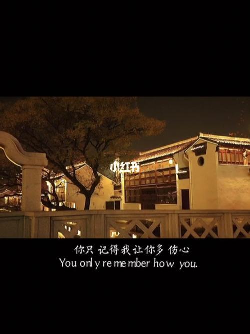 放下所谓的尊严什么歌