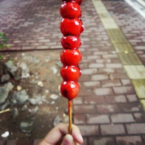 一个糖葫芦多少克