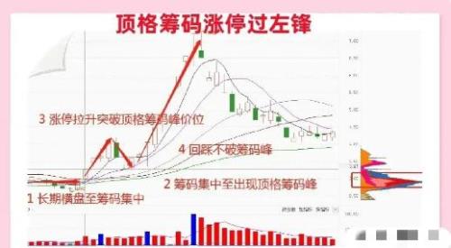 顶格是什么意思