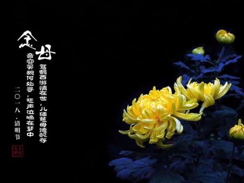 怀念妈妈的句子简短