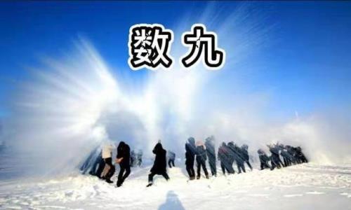 为什么从冬至开始数九