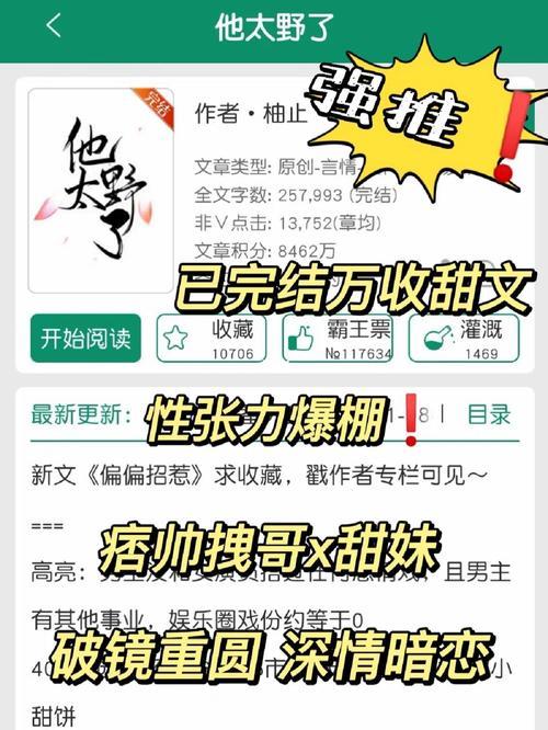 野男友是啥意思