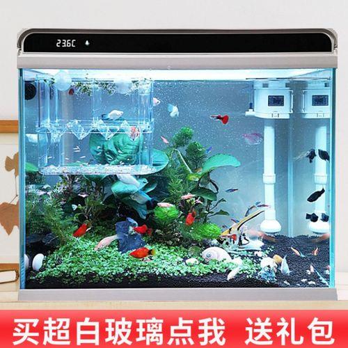 鱼缸水总是白蒙蒙的，怎么办