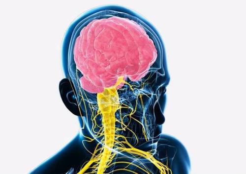 保护大脑的10种方法