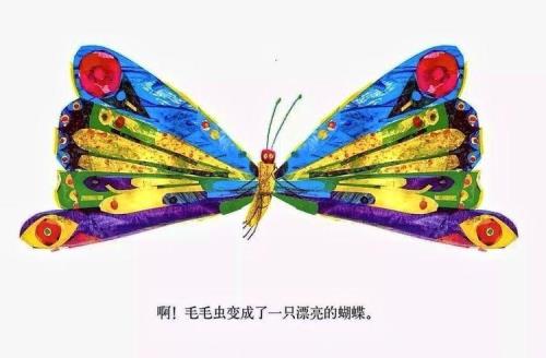 毛毛虫变蝴蝶